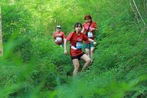 BIB: 
                            <button type="button" onclick="openModal(22096568)" class="btn btn-primary btn-sm float-right btn-popup" data-toggle="modal" data-target=".modal-high-quality">
                        <i class="fas fa-shopping-cart"></i> Add to Cart
                    </button>
                                            <button type="button" onclick="isThisMe(22096568, true)" class="btn btn-success btn-sm float-right btn-popup btn-isme hidden" data-toggle="tooltip" data-placement="bottom" title="นี่คือรูปของคุณใช่ไหม คลิกที่นี่เพื่อเอาเข้าอัลบั้ม">
                        <i class="fas fa-plus"></i> Add to album
                    </button>
                    <button type="button" onclick="isThisMe(22096568, false)" class="btn btn-warning btn-sm float-right btn-popup btn-isnotme hidden">
                        <i class="fas fa-ban"></i> Remove from album
                    </button>